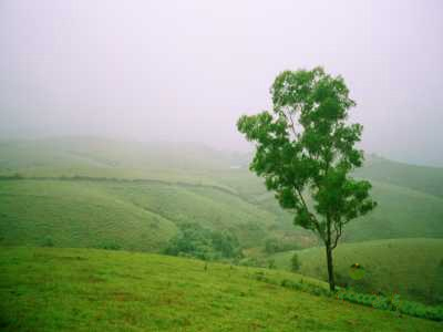 http://www.uniteddentaltourism.com/images/destinations/21._279598181.jpg