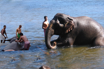 Kodanadu