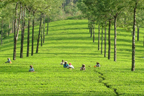 http://www.uniteddentaltourism.com/images/destinations/mun_1210269015.jpg