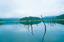 Thekkady