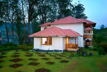 Tea Country 